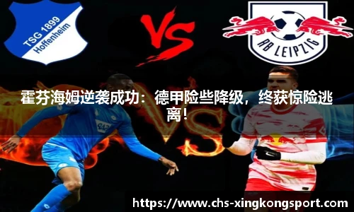 霍芬海姆逆袭成功：德甲险些降级，终获惊险逃离！